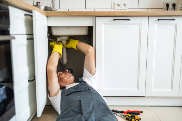  Cartervle, IL Plumbing Pros